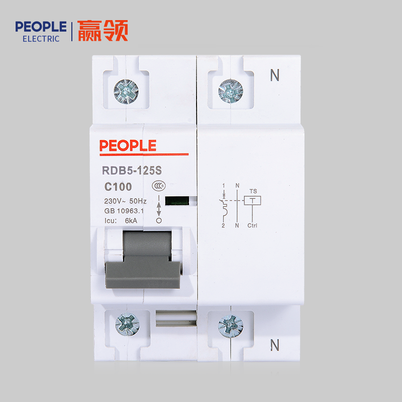 人民电器 RDB5-125S系列小型断路器 小型断路器RDB5-125S C125 1P+N
