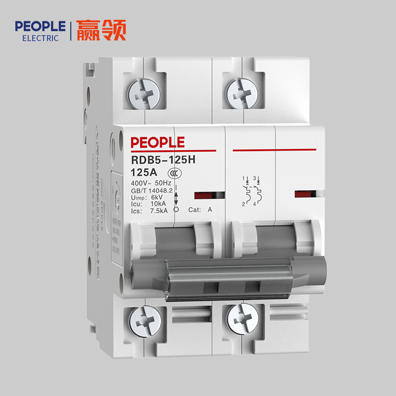 人民电器 RDB5-125H系列小型断路器 塑料外壳式断路器RDB5-125H 125 1P